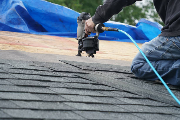 Best Roof Leak Repair  in South Roxana, IL